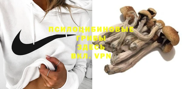 молекула духа Волосово