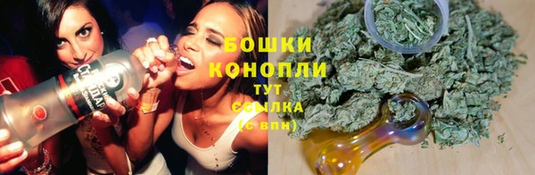 молекула духа Волосово