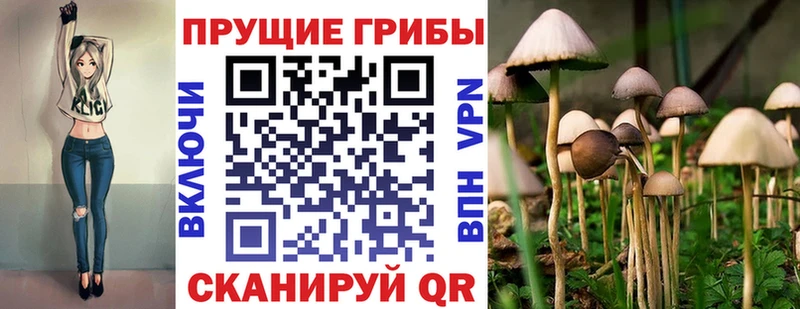 Галлюциногенные грибы ЛСД  купить наркоту  Дзержинск 